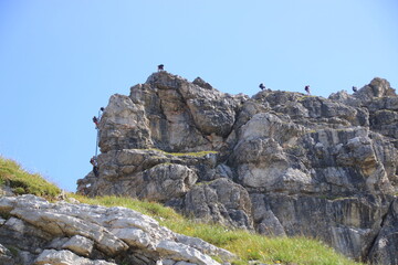 Blick auf den Hindelanger Klettersteig bei Oberstdorf, mit Stau auf dem Steig