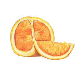 Sliced ​​orange watercolor illustration. A slice of ripe orange. Juicy citrus.