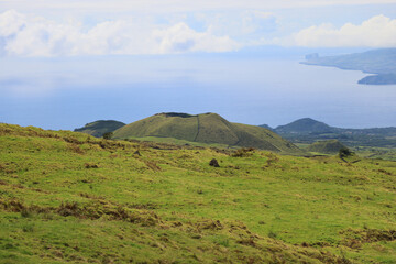 Obraz premium Volcanic landscape of the island of Pico, Azores
