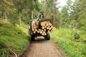 Holztransporter auf einem Waldweg in den Allgäuer Alpen