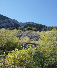 Wanderung auf den Hochmiesing: Die Westwand