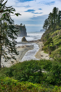 Ruby Beach Landscape 2