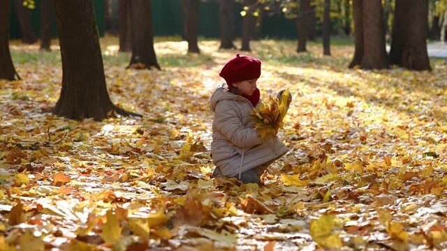  heppines little girl walking in the park in the city throws yellow maple leaves in golden autumn. High quality 4k footage