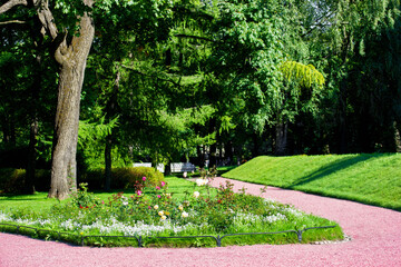 A city park, flower beds and walking paths, trees and roses. Photo.