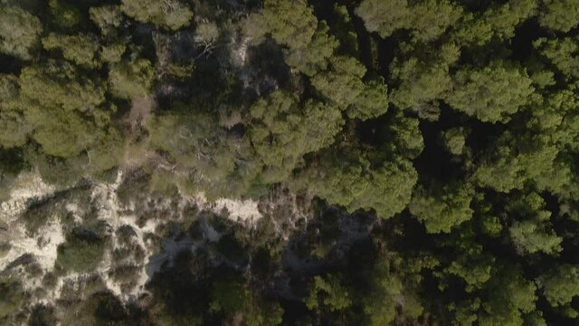 macarella y macarelleta playas menorca 4k drone
