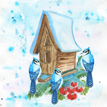 Watercolor winter composition.Gift frame on a snowy background with forest birds on a birdhouse, decorated with fir branches with cones, branches with red berries.