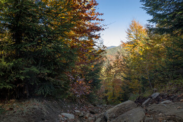 Obraz premium autumn scenery in the mountains