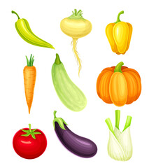 Ripe Vegetable as Healthy Raw Food and Garden Cultivar Vector Set