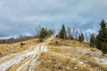 landscape in the mountains