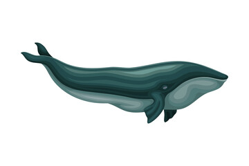 Whale as Aquatic Placental Marine Mammal with Flippers and Large Tail Fin Closeup Vector Illustration