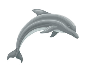 Oceanic Dolphin as Aquatic Placental Marine Mammal with Flippers and Large Tail Fin Closeup Vector Illustration