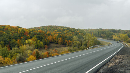 flat road against the background of the autumn forest