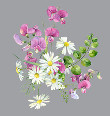 Watercolor composition of wild pink flowers and daisies