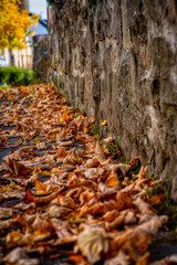 Herbstzeit