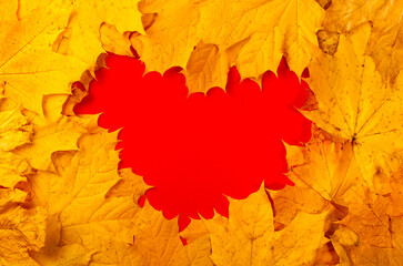 Autumn red heart. Autumn yellow leaves form a heart, negative space, copy space.