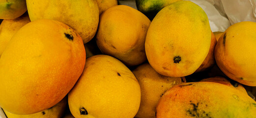 yellow mangoes 7 Mango caribe