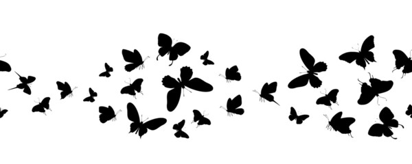 Plakat Seamless flock of silhouette black butterflies on white background. Vector