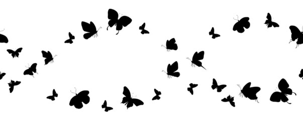 Obraz na płótnie Canvas Seamless flock of silhouette black butterflies on white background. Vector