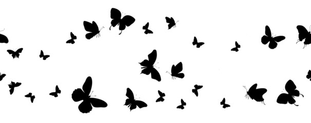 Obraz na płótnie Canvas Seamless flock of silhouette black butterflies on white background. Vector