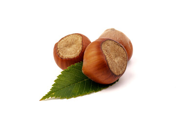 Ripe filbert and green leaves isolated on white