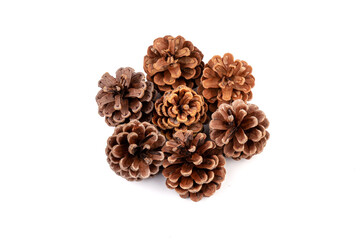 Pine cones isolated on a white background, photography