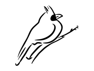Red bird line art