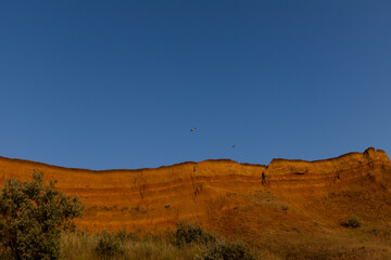 Geology. Desert landscape. Panorama view of the sandstone formation, the rocky cliffs, sand. Background or texture of sandy cliff on the coast, orange limestone