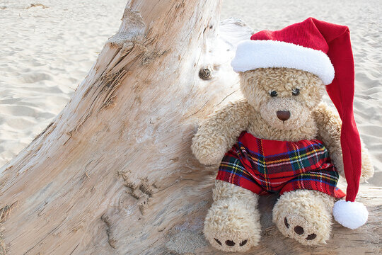 Brown teddy bear with Christmas stocking cap on driftwood log at the beach