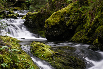 Naklejka premium waterfall in the forest