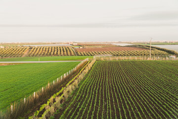 scenic view of a green field - Meknes, Morocco