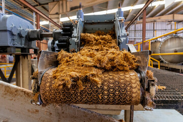 Tequila and Mezcal  production factory distillery