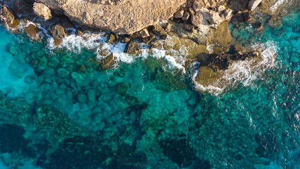 Water background coral reef sea 
