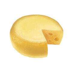 Round cheese illustration beautiful illustration.