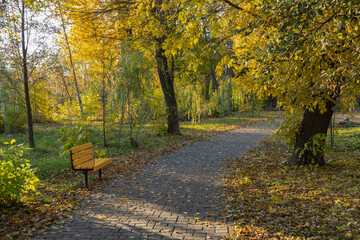 paved path with a bench in the autumn park
