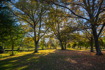 Trees and channels on the island Drottningholm an colorful autumn day in Stockholm,