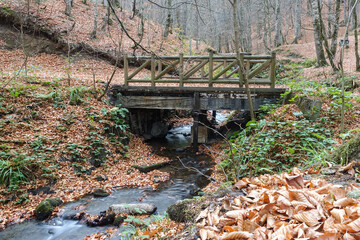 Bolu Yedi g&ouml;ller (Seven Lakes) National Park in autumn foliage - Bolu, Turkey
