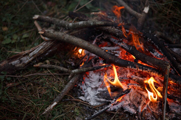 Close-up of a campfire. Bonfire.