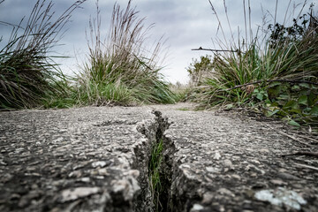 Ground level view of a deep fissure seen on a road in continental Europe. The cracking is due to...