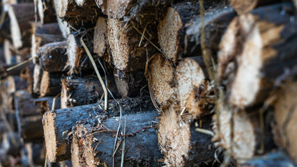 Neatly stacked big pile of chopped fire wood logs prepared for winter at vintage wooden barn wall. Texture for design.
