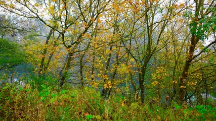 sablons isère l'ile de la platiere automne