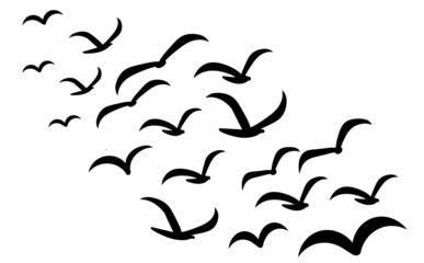 Silhouettes of groups of  birds on white. Vector