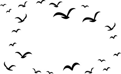 Silhouettes of groups of  birds on white. Vector