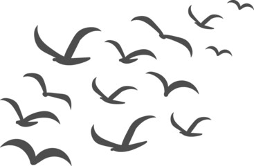 Silhouettes of groups of  birds on white. Vector