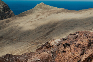 Fototapeta na wymiar The home of lizard - Madeira - High Quality image