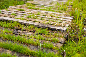 Photo of a path from wooden boards on green grass