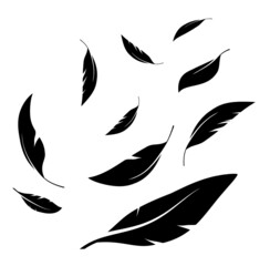 Flock of black feathers falling isolated on white background. Vector