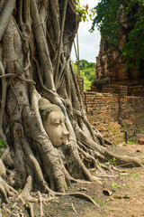 Fototapeta na wymiar Ayutthaya, Thailand - Buddha head at Wat Mahathat