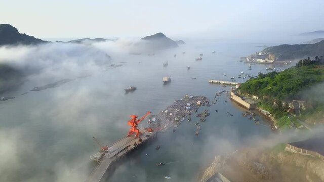 Sea weed farm of Xiapu, Fujian province, China (aerial photography)