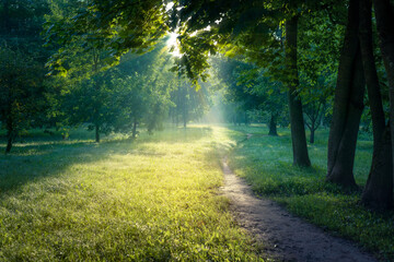 Fototapeta na wymiar The road in the city park in the early morning. The rays of the bright sun shine through the green trees.