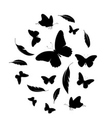 Fototapeta premium Flock of black feathers and butterflies isolated on white background. Vector